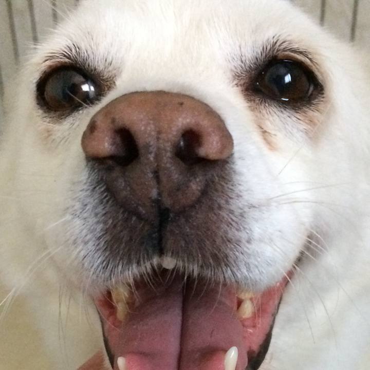 8e24b04a efb9 47f6 928c 71f0e7af389c 1527076835205