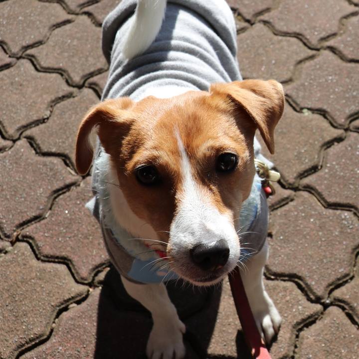 8e24b265 1f9c 4aa2 b4ca 606dae4638ce 1517977784172