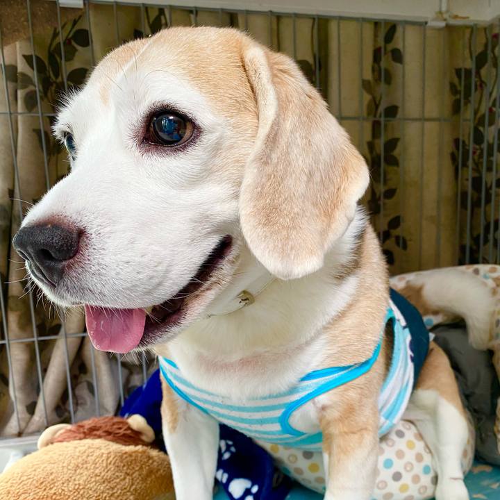 8e24cd01 8dff 4ac5 bea3 b4079047fc16 1630814202804