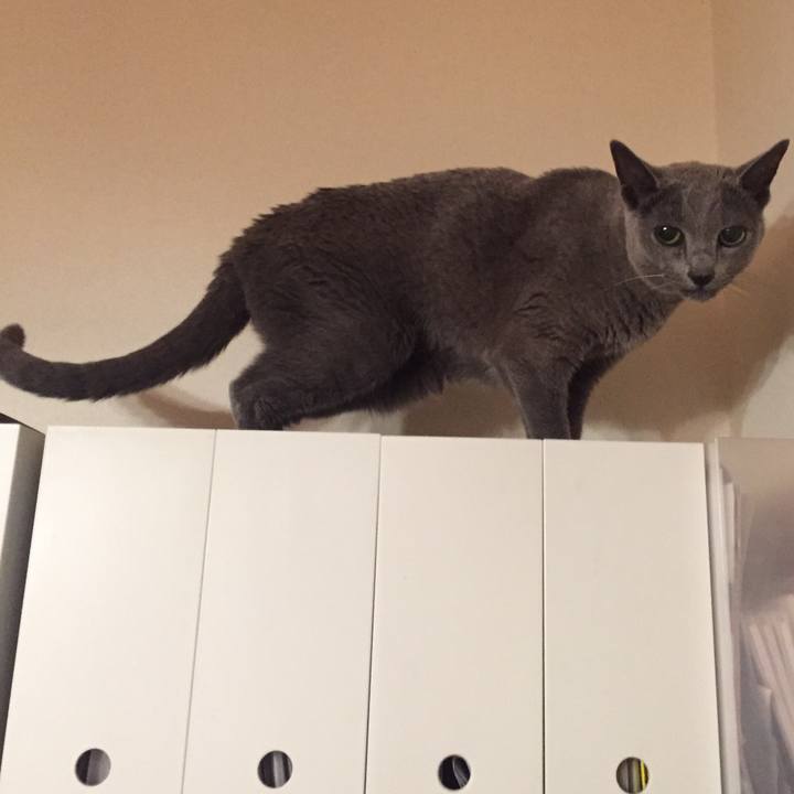 8e24e5ee 9fe3 4ed5 a3f7 5f8251859b10 1574984412730