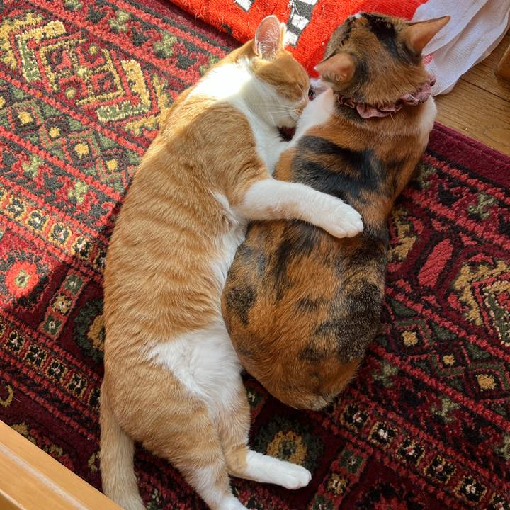 8e251a5a 8f6c 49d6 b3d6 4efe6146ccc0 1677376138179