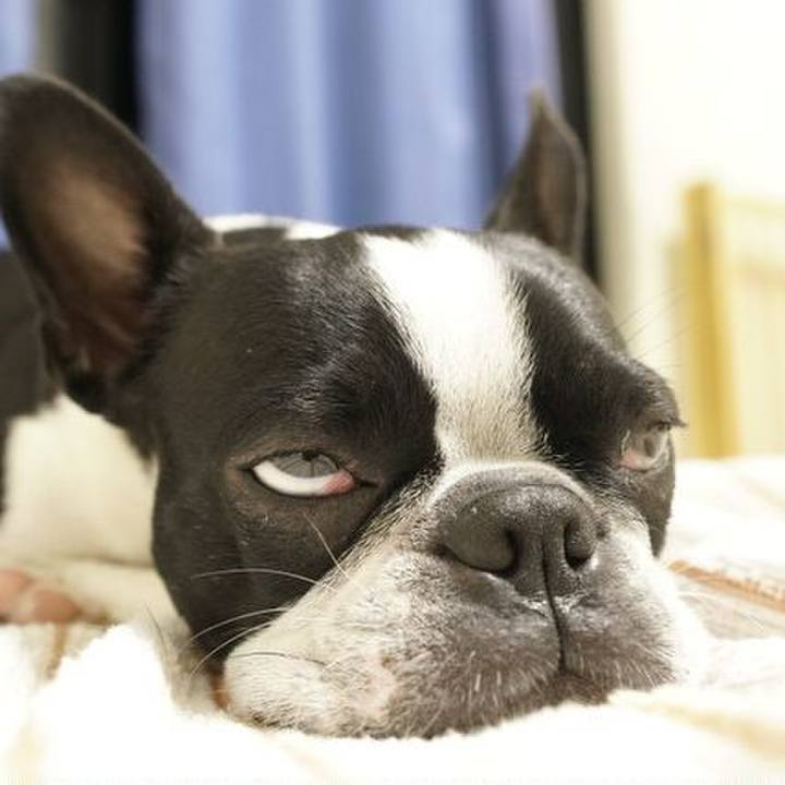 8e255fcd 4423 4177 8864 518c1f996f9b 1530280883709