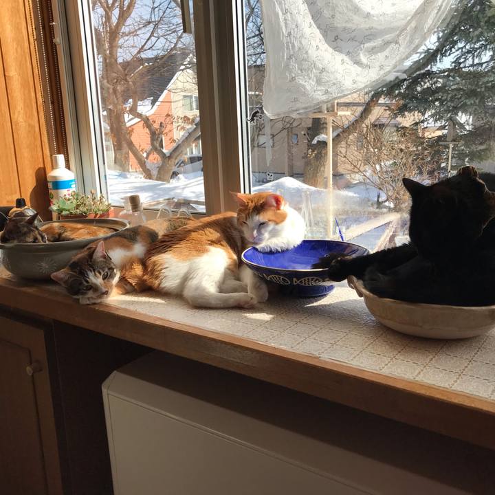 8e2560e1 3235 4396 8b72 7a9ef3aa0201 1614482974736