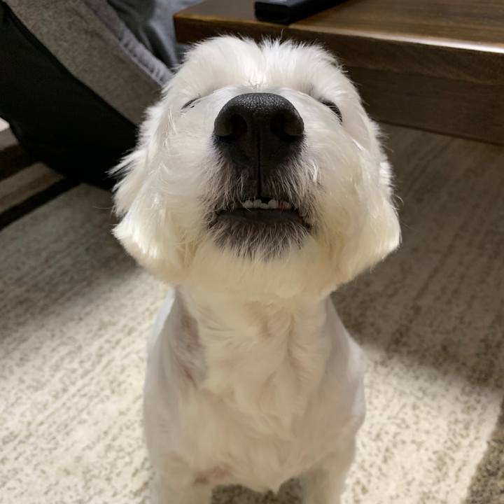 8e257dc6 1bdd 44a6 92d7 68acc21e7d2f 1568552814677