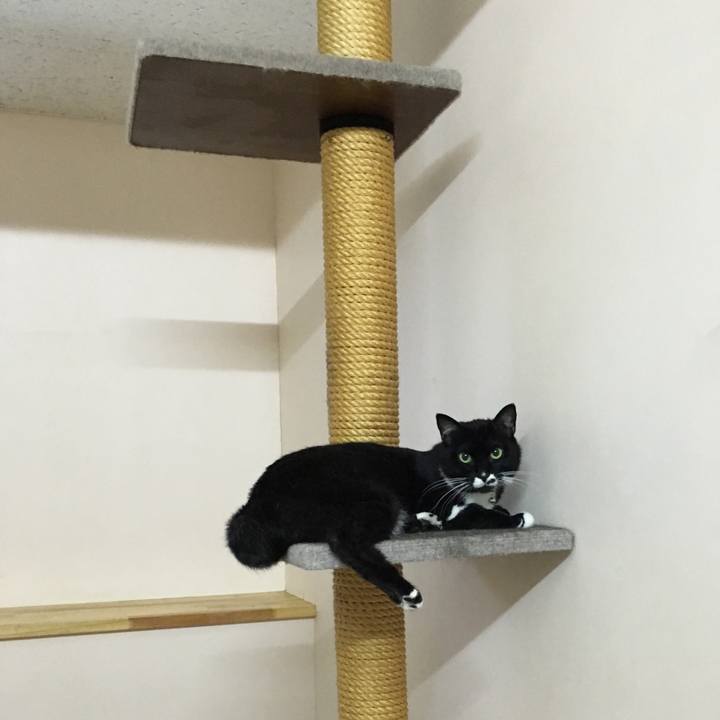 8e25899a 8b85 4edb b43d 46deba96e42c 1530792502901