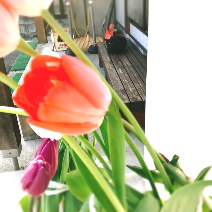 8e2599fa 9b4a 48a6 a4cd 805106fe3bea 1521873486534