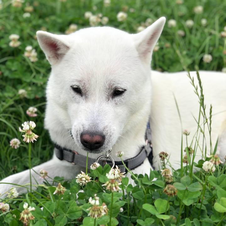 8e25eb1d 3a32 49c3 9d8e c05468ab12cb 1593092070724