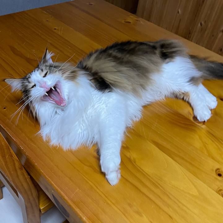 8e25f3b1 a233 44e3 afe2 1741aaa0247e 1680638291431