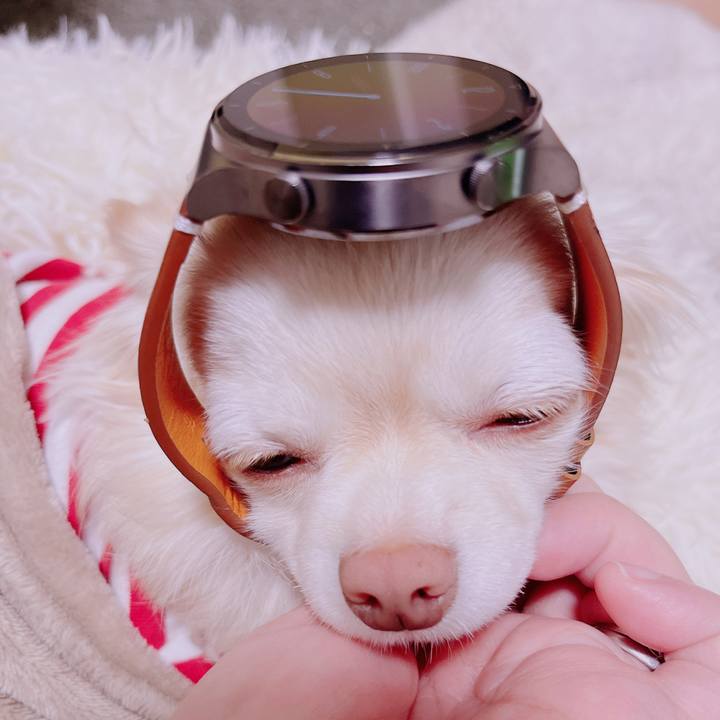 8e260078 c3e3 4518 9597 e9c5cdad1c48 1676980792093