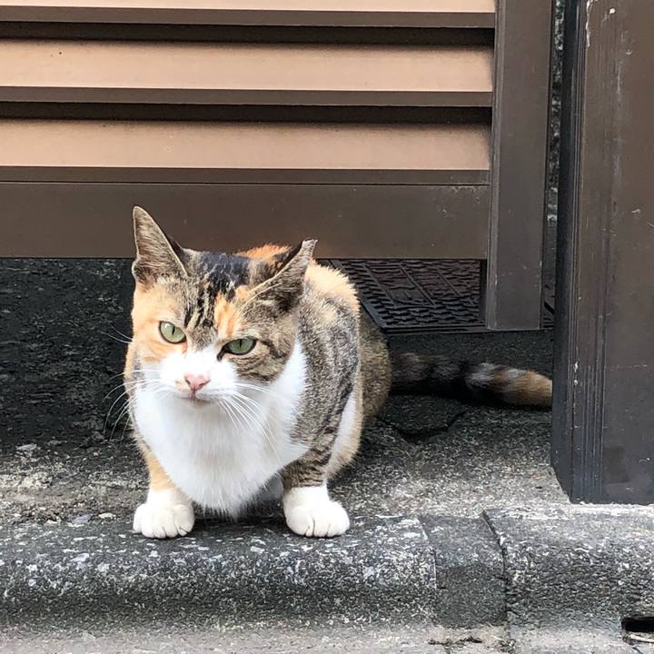 8e26288a 9be6 4292 9856 9660d5cdd6a2 1538762724242