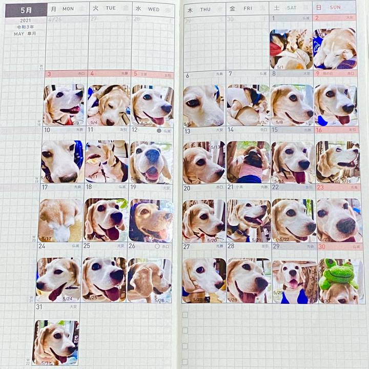 8e262ff4 6325 450a 83b0 3c3d053b791a 1623594047130