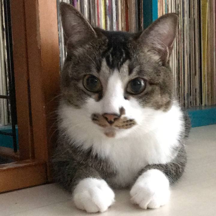 8e264d39 8ccc 42b3 8bad 5277e500bd44 1529803339866