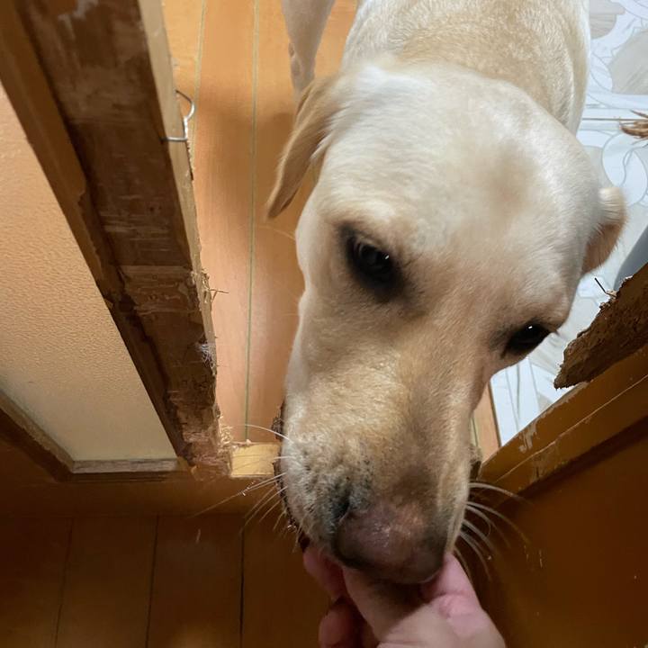 8e265606 0786 44a6 8a79 7535cb67196a 1676165556306