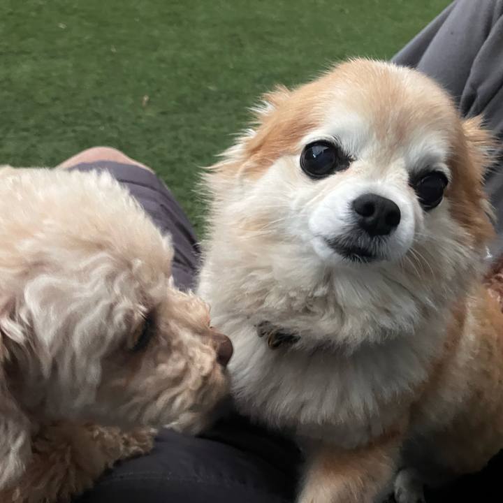 8e26584c cf46 46c2 83ad c8d6c71d14e2 1773914556625