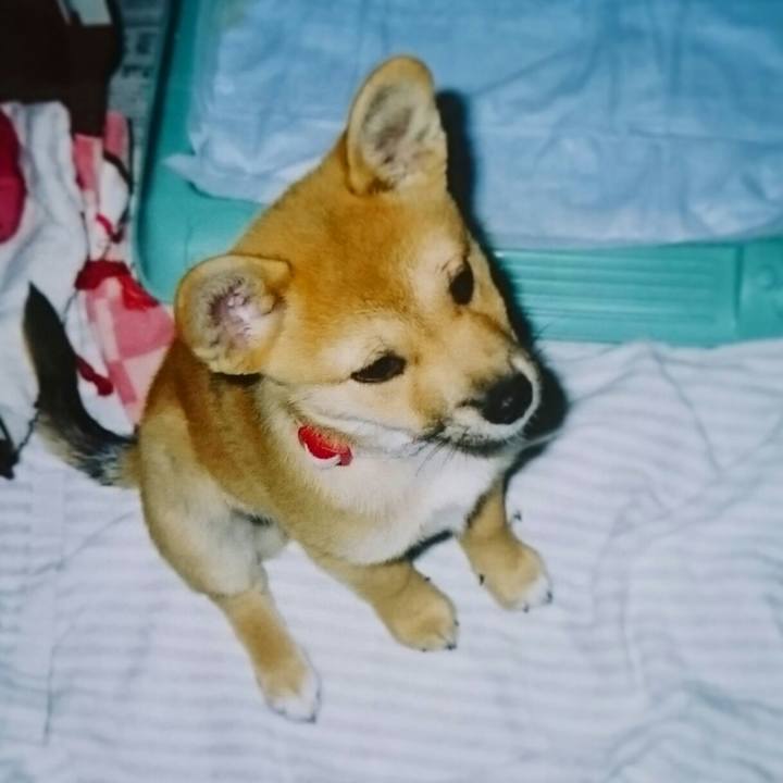 8e265f15 6c63 42ea 8962 1000e536c257 1558011750490