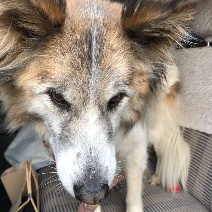 8e2669f5 4252 4574 a214 5c97c0b2fa0c 1517216229417