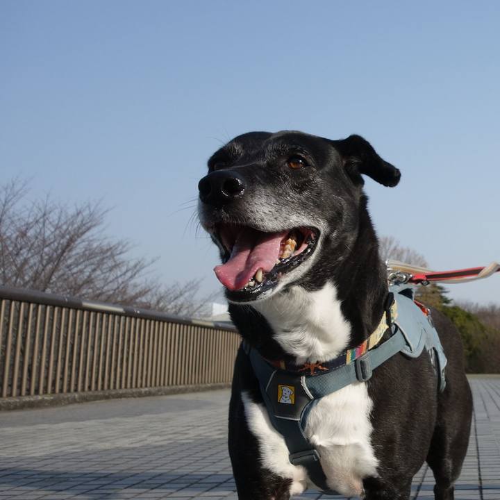 8e268552 e192 4071 8482 480cdc6e66af 1742863026065