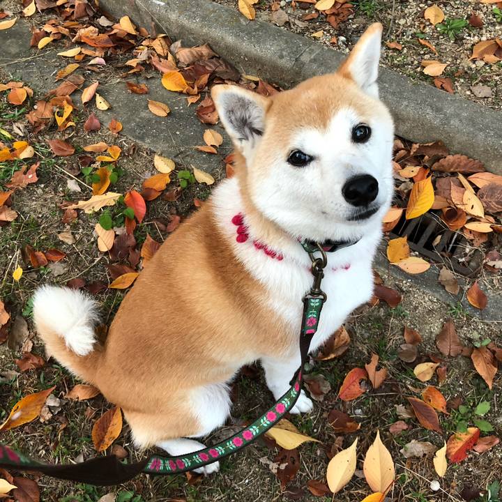 8e26b0c7 4b7b 4407 ab5c c8ba66f58d62 1667779724687