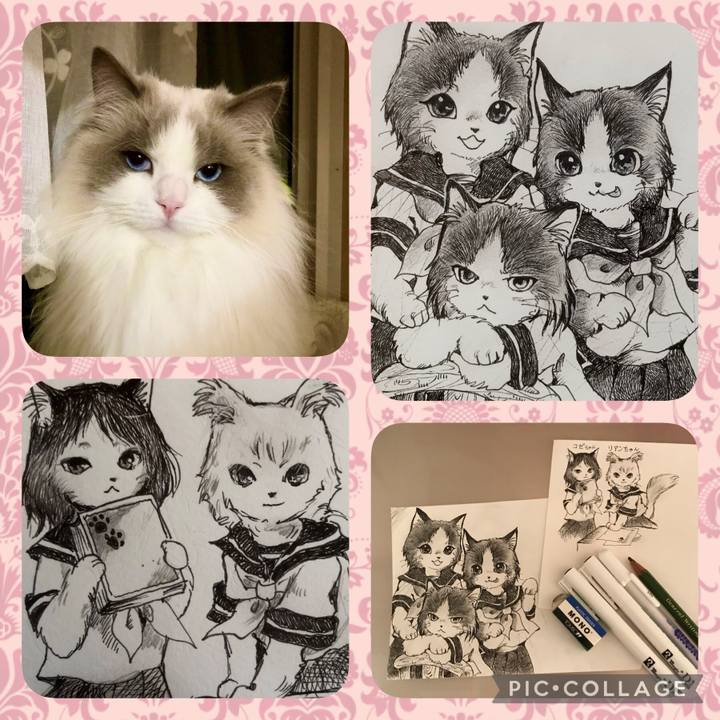 8e26bccd 4de2 4fdc 95fd 276e4fddf13e 1612660457925