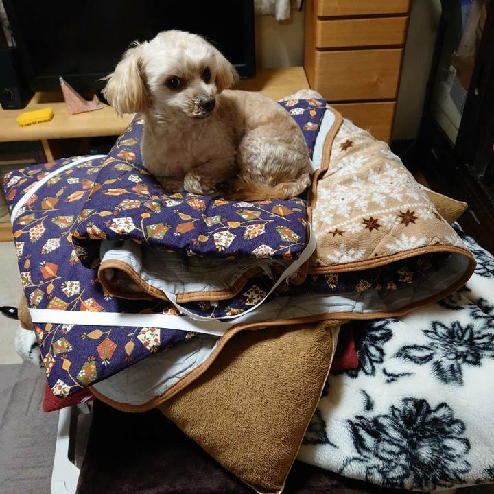 8e26ca21 2f98 4bc1 9451 2d3d97769892 1611979339615