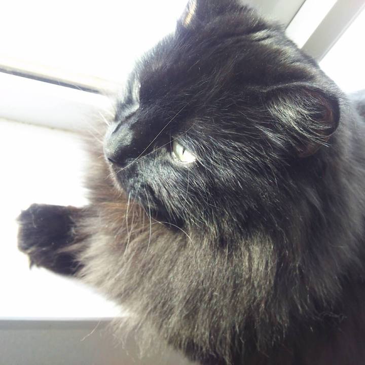 8e26d312 8494 4e41 a1eb 799626c1cd04 1547954414378