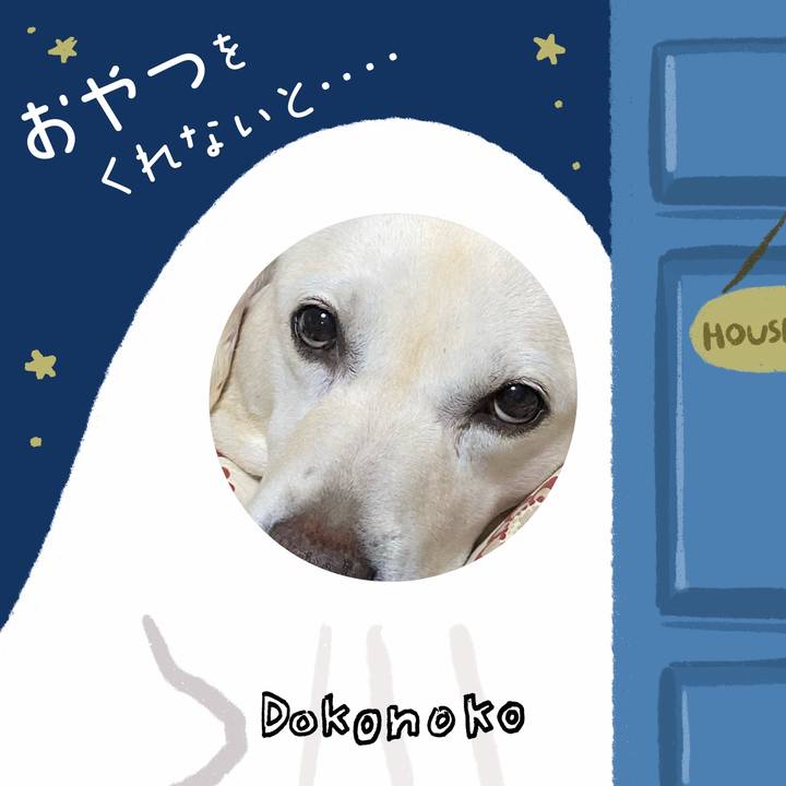 8e26defa 6c30 4cbc a06a de74b8b49762 1730298693003