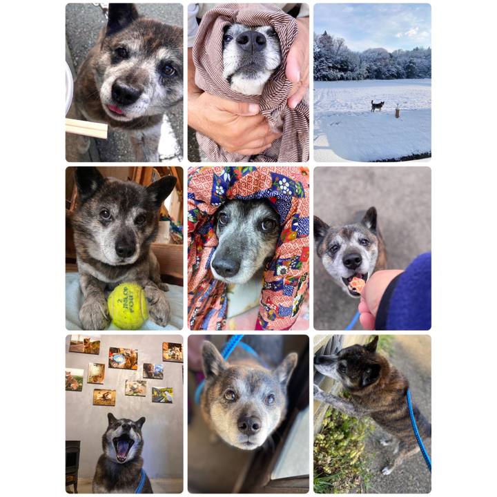 8e26f76b 0192 41d8 b4a6 0a3460915238 1703983901680