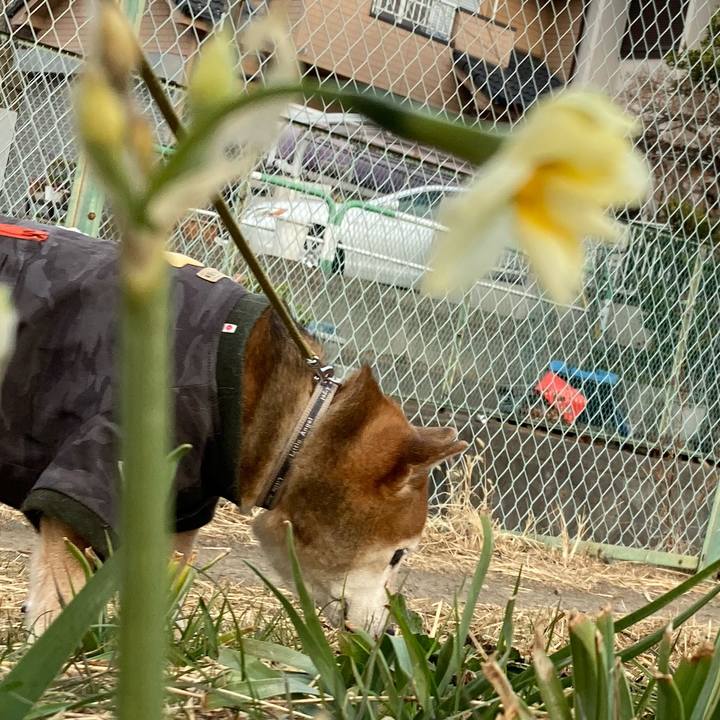 8e273ffb d54d 42b7 8c56 15d5137b8b55 1705647037995