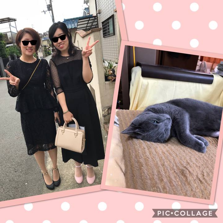 8e274fee 3142 4c27 ac3b 0e28c31d489a 1538874565044