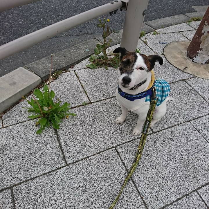 8e2758f0 aa0b 4522 b5ca 65407222d357 1523659662817