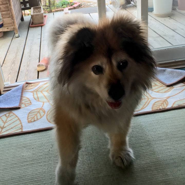 8e275ed9 760d 4f96 89ce 78a403937dad 1603686413308