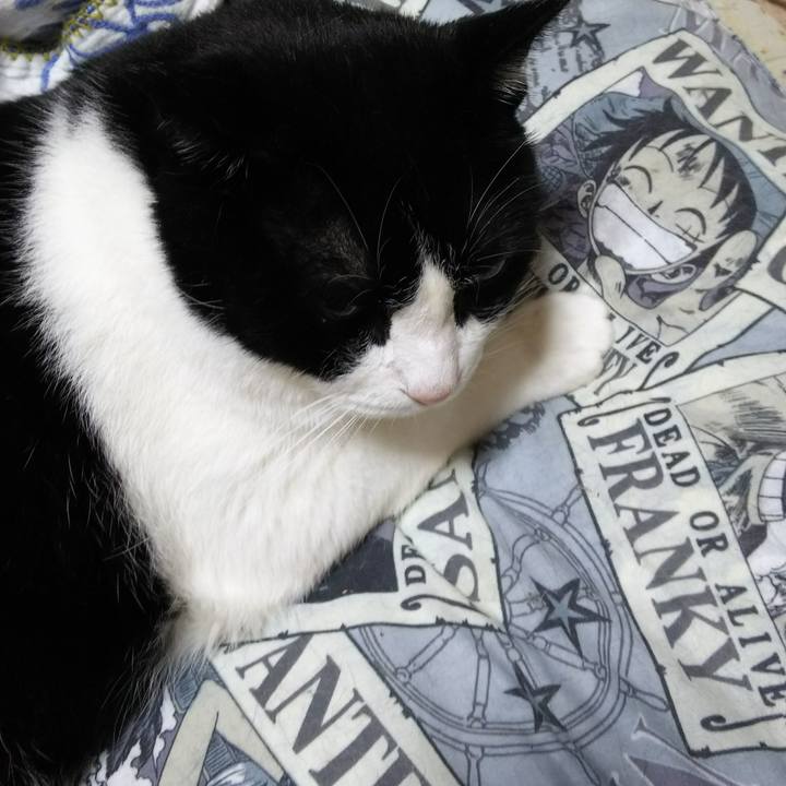 8e2791c9 d5d6 4e00 be76 45a2242ae569 1530973286347