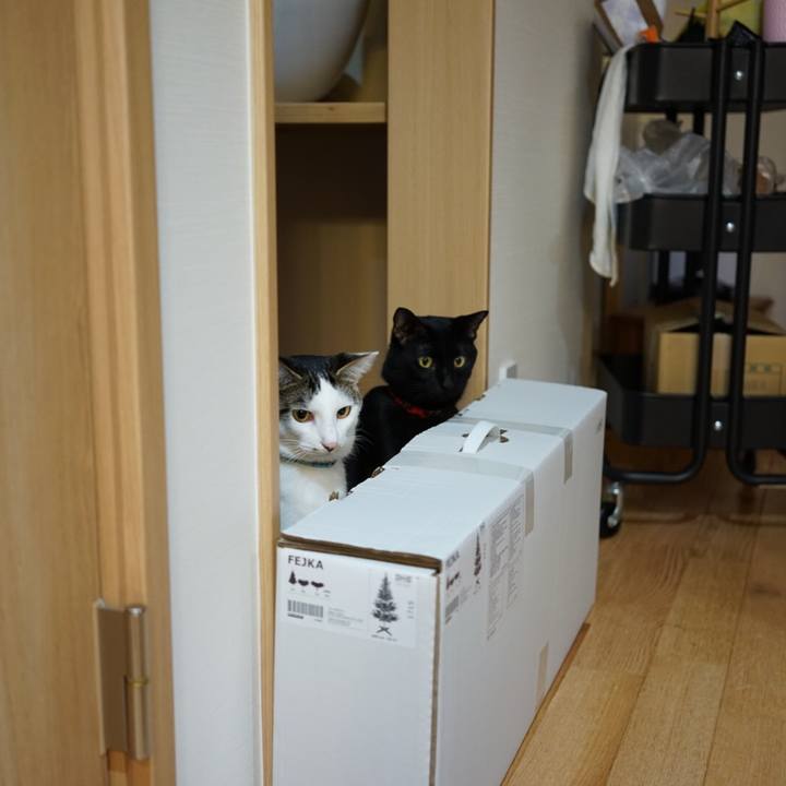 8e27e382 c48d 4cf9 ae02 188bb34bdd63 1511791036278