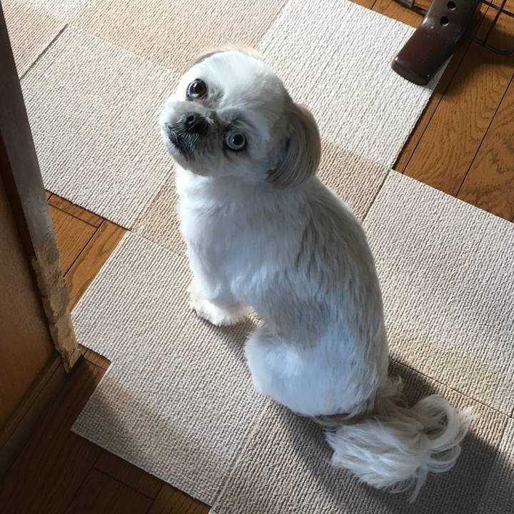 8e281930 2f31 423a 8833 44624f2a2b49 1554294202585