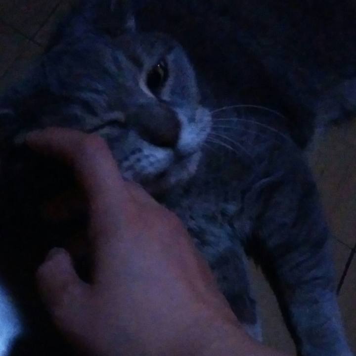 8e282338 ad69 4ff6 ba47 d7b31b4e62f7 1597180852482