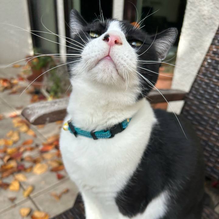 8e283d34 ace4 4331 9d20 ad896cbfec27 1764380197746