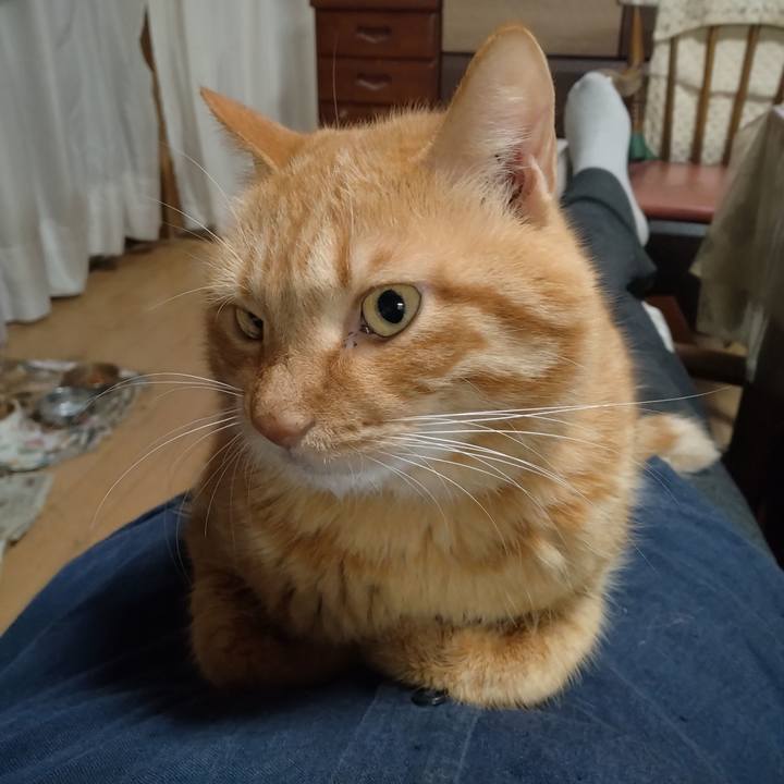 8e28458d 1fee 444f 836e 7c06d20004d4 1763712203235