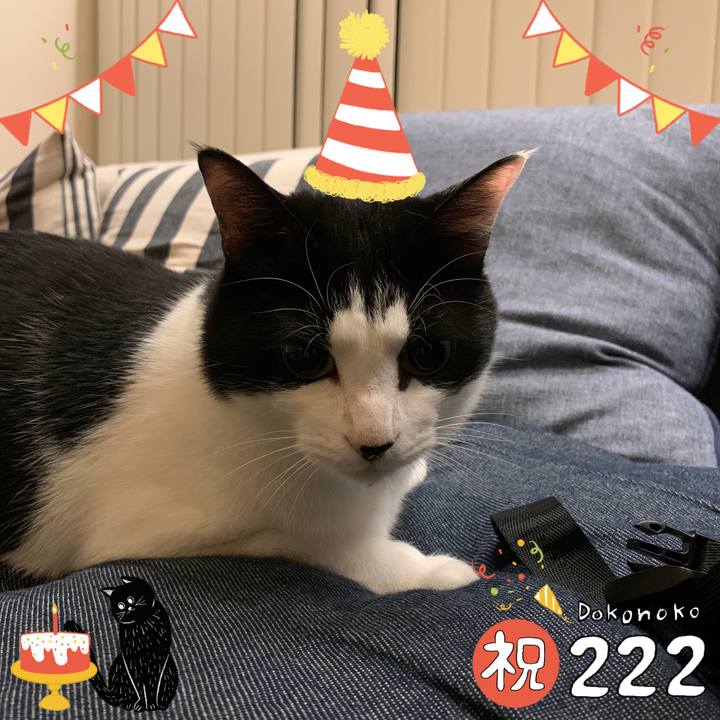 8e28a597 cfab 4015 a371 b932e8871f0c 1645530515356