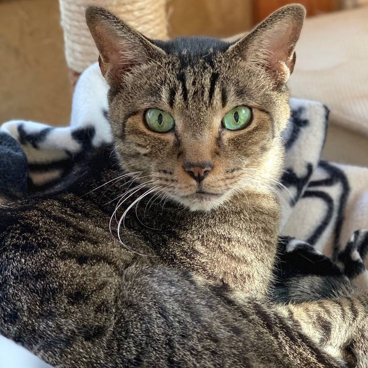 8e28c2e0 5b02 4f9f 866b 5ac9aa2a7933 1573175186154