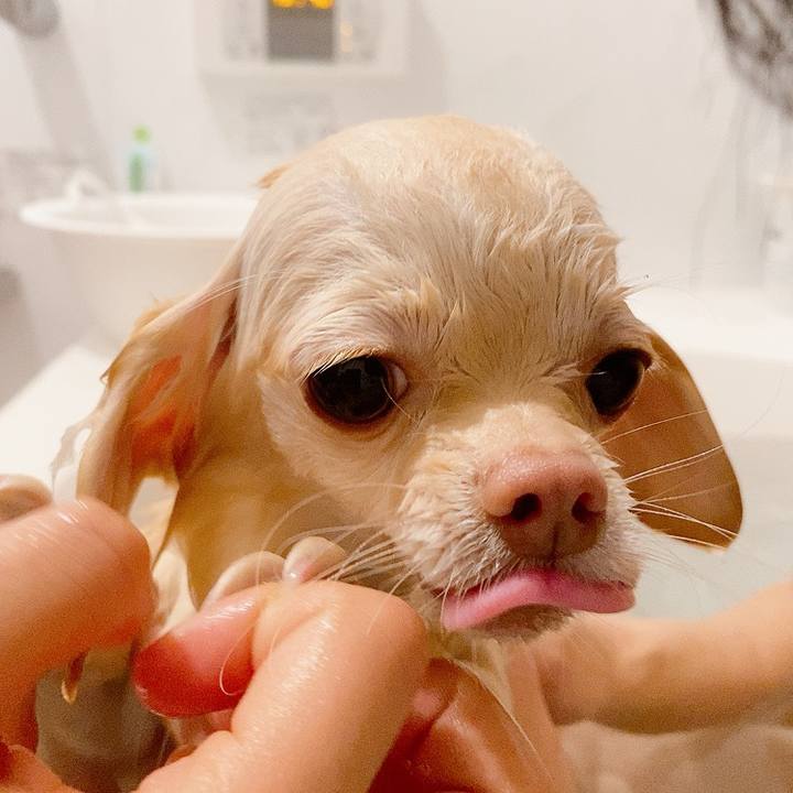 8e28dbef 83bb 4eea b8e0 3665f91ad1af 1611225411969