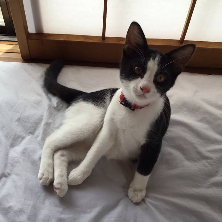 8e28e75e 0203 48ff afe9 947745450936 1628733685891