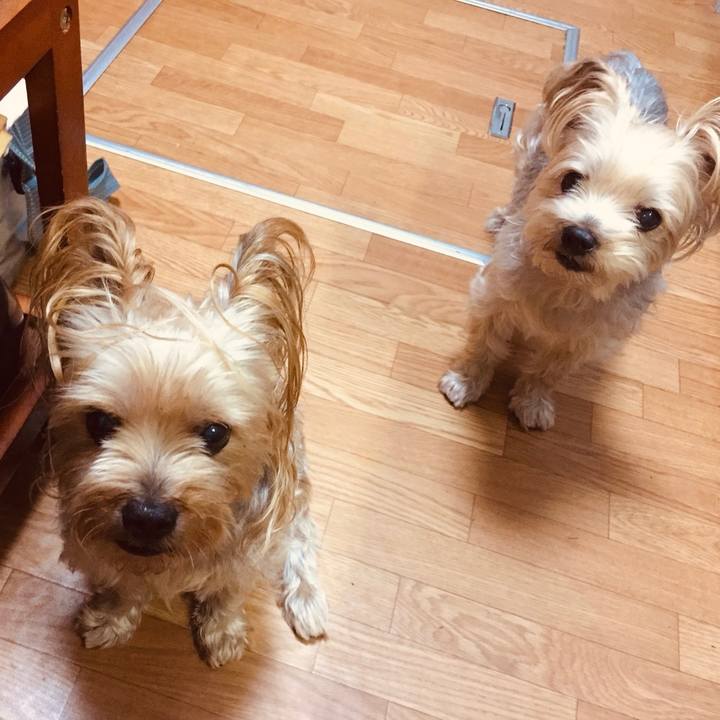 8e292619 e494 486e 933b 3faa49e40a58 1538907941120