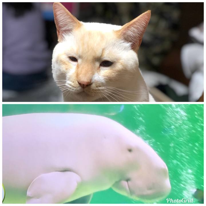 8e29731e 3bf8 48cf a4c8 4eda18bab48c 1577964390877