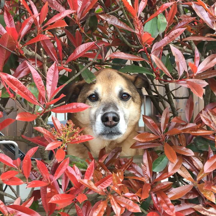 8e2998a0 a094 4a5f 8f7f d501f97de660 1555663616949