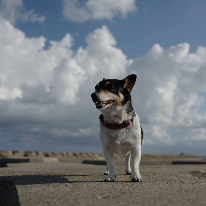 8e29a49d 8c9a 4870 bf20 4ec94f5bc13d 1569388676842