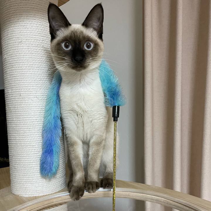 8e2a0c9d 1a7d 4f51 aee7 8fc22b73455d 1698867874070