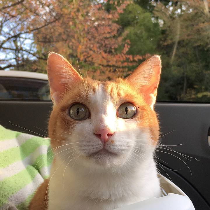 8e2a4b71 614f 426c ad86 7981a32d66e9 1572607367250