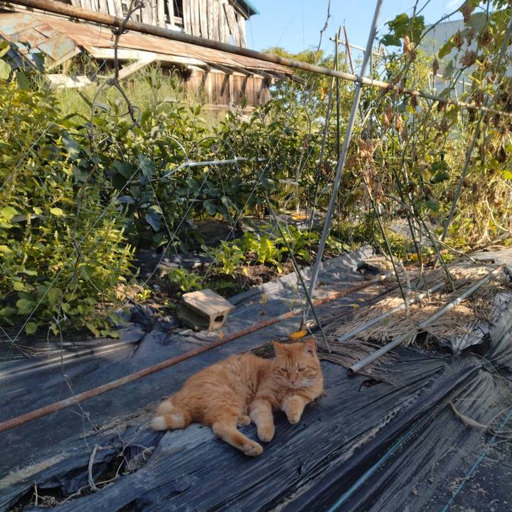 8e2aa035 330c 43a6 b73e ec947ab1a1cb 1759222640528