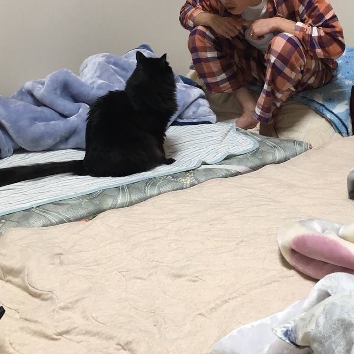 8e2aa874 6d8e 40b1 92f3 60142ddb8d0e 1543323460345