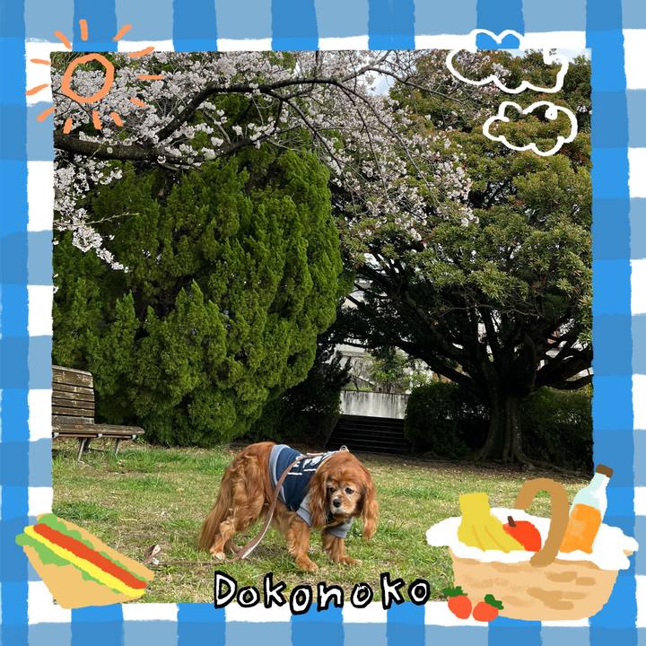 8e2ace17 ef53 464c a01c 6a67869940b5 1744373444206